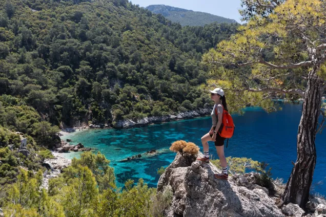 Переход от пляжа Paradise до оливкового сада