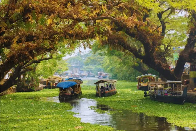 Аллепи речной круиз