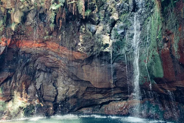 Лес Фанал, треккинг левады, водопады