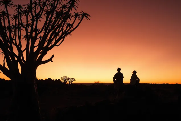 Пустыня Калахари и Лес Колчанных деревьев