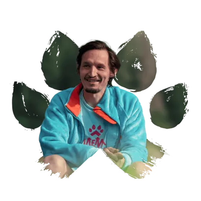 Илья Шабанов