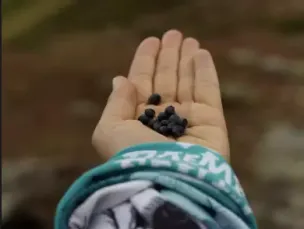 Орешки и сухофрукты/Конфеты/Батончики