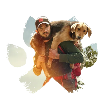 Александр Зырянов