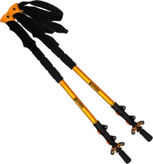 Трекинговые палки