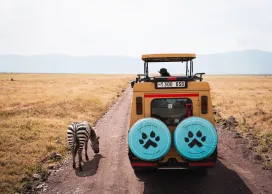 2-ух дневное Сафари в нац. парке Тарангир и в кратере Нгоронгоро в Танзании