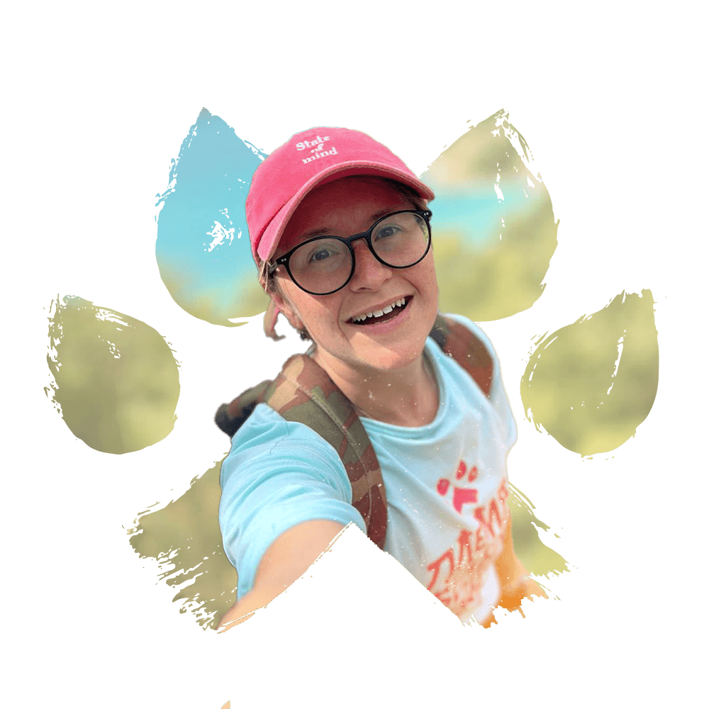 ОСТАВЬТЕ ЗАЯВКУ